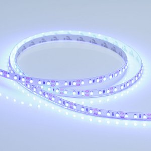 Светодиодная лента RT-A120-8mm 12V Blue (9.6 W/m, IP20, 5m) (Arlight, 9.6 Вт/м, IP20)