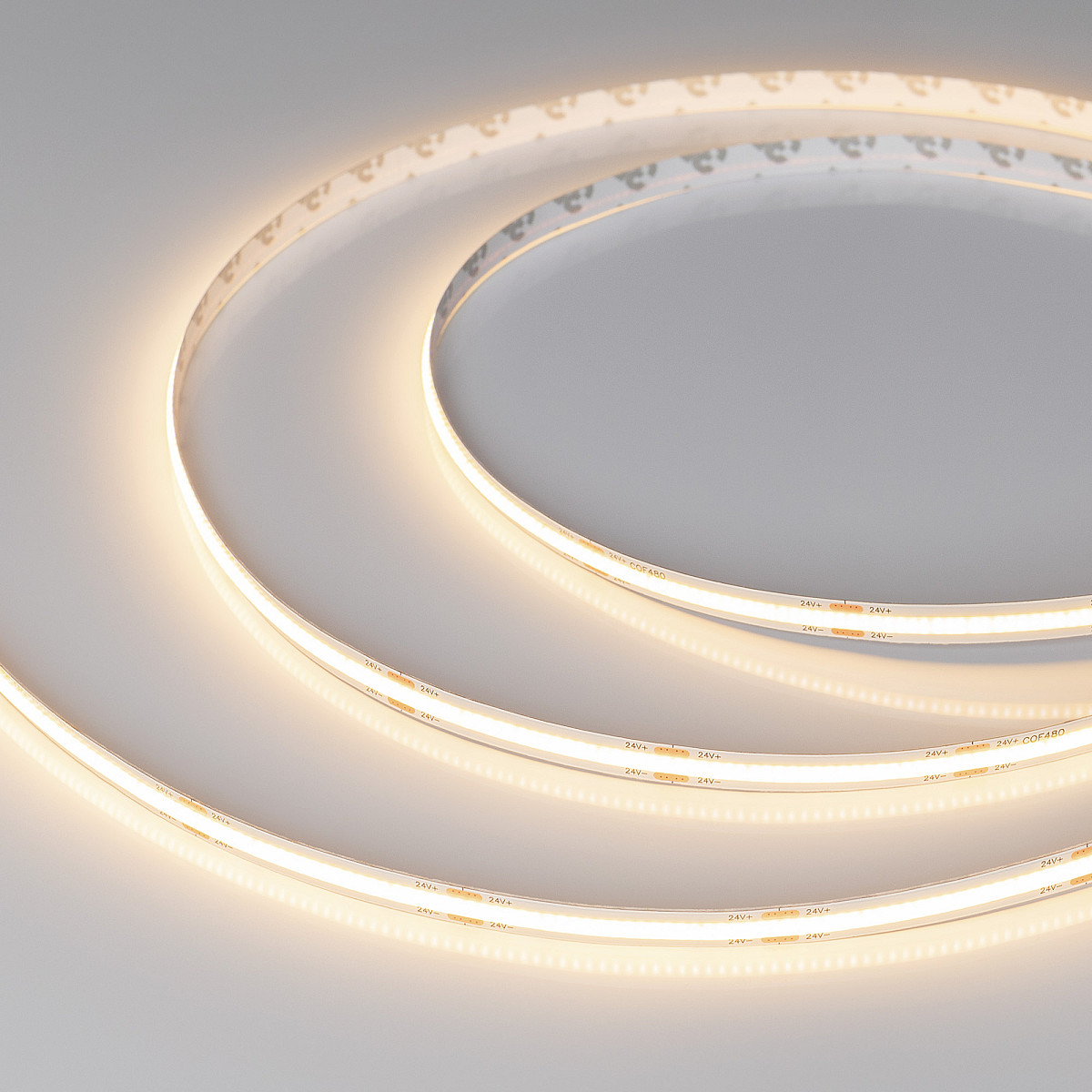 048025_arlight
